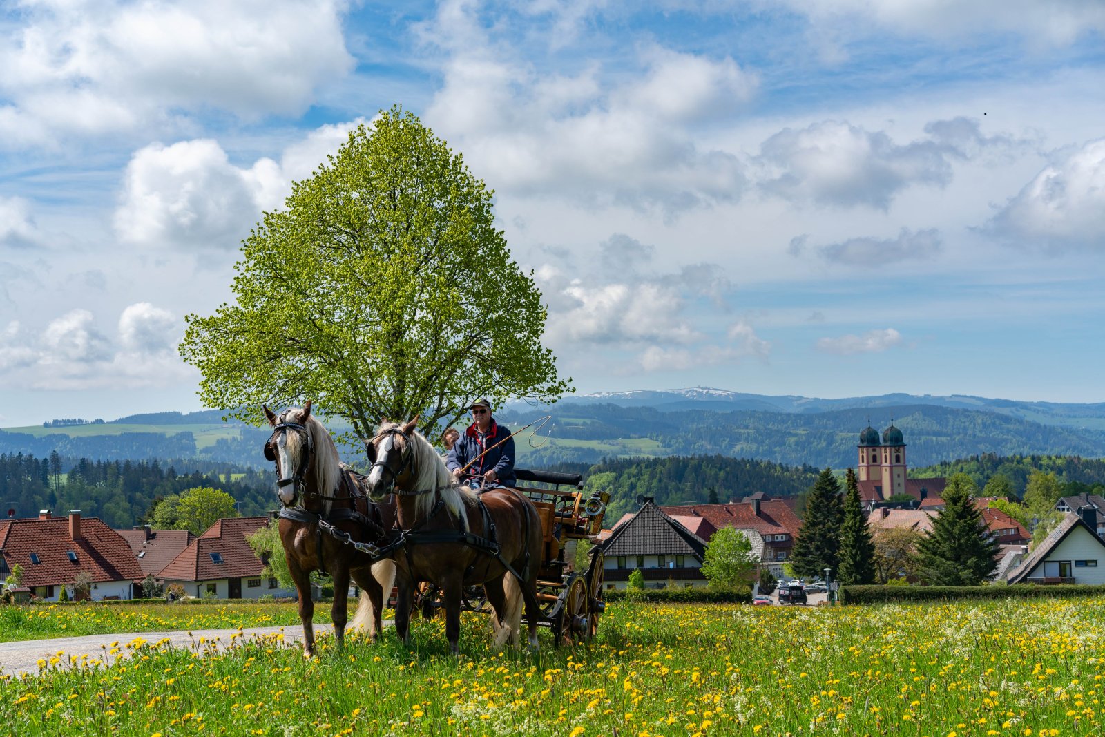 Kutschfahrt in St. Märgen